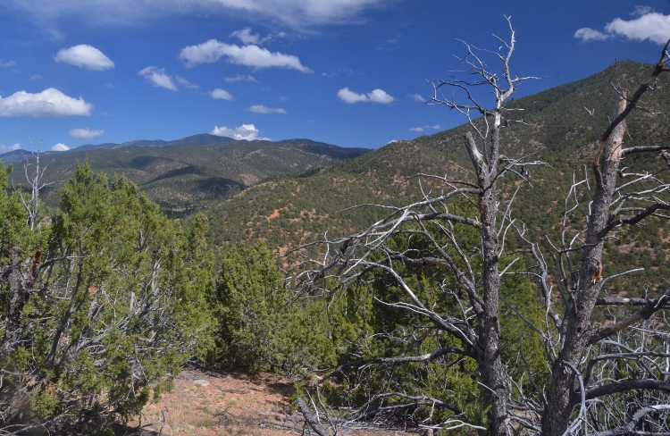 Dorothy Stewart Trail 